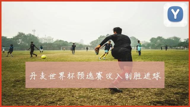 丹麦世界杯预选赛攻入制胜进球