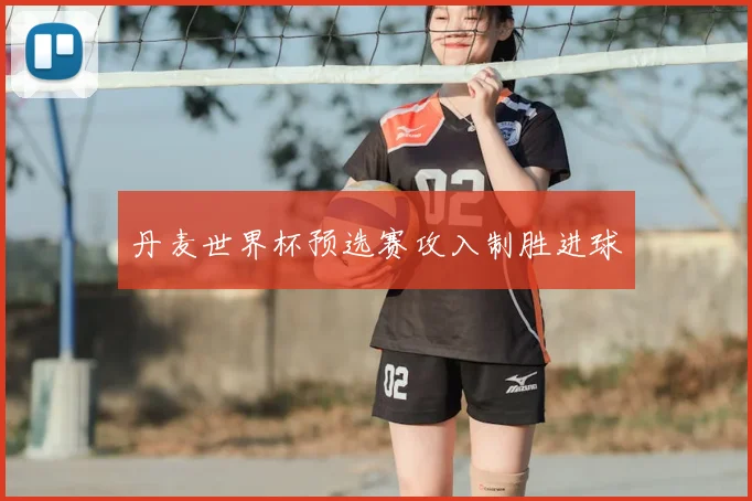 丹麦世界杯预选赛攻入制胜进球