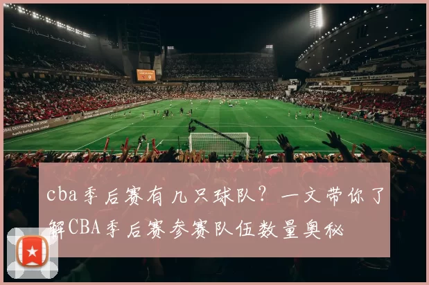 cba季后赛有几只球队？一文带你了解CBA季后赛参赛队伍数量奥秘